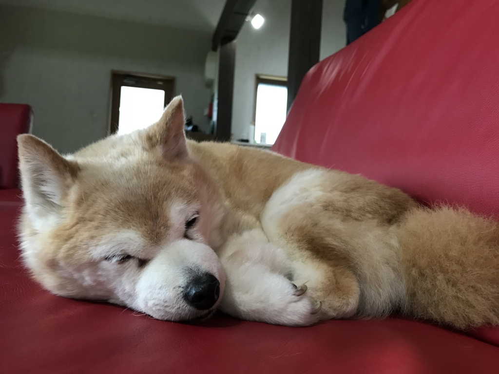 f:id:yacopun:20180524211618j:plain f:id:yacopun:20180524211618j:plain