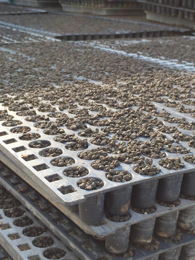 f:id:yado-tawaraya:20180501110755j:plain f:id:yado-tawaraya:20180501110755j:plain