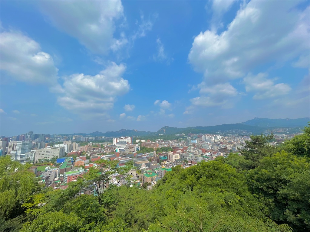 f:id:yadokarinko:20230613000441j:image