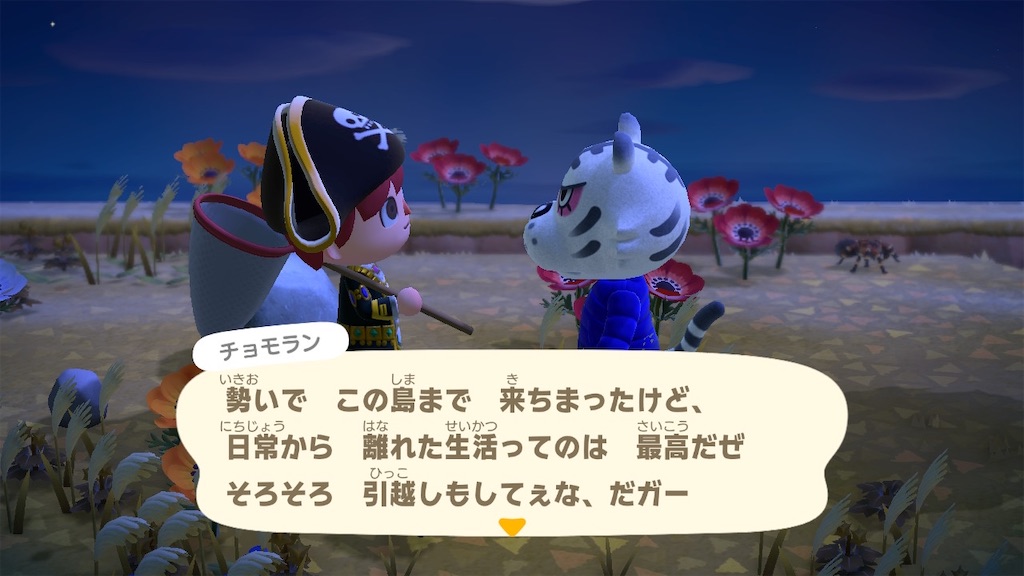 どうぶつの森 住民厳選でタランチュラ島へ レアなのか ヤドめで ヤドンをめでる夫婦のブログ どうぶつの森 住民厳選でタランチュラ島へ レアなのか ヤドめで ヤドンをめでる夫婦のブログ