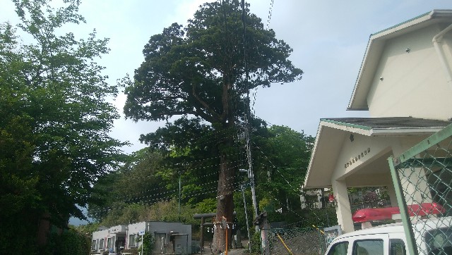 f:id:yadorikidekosodate:20190512200633j:image f:id:yadorikidekosodate:20190512200633j:image