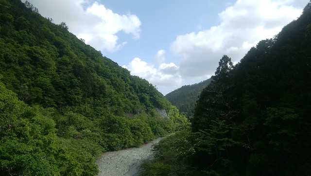 f:id:yadorikidekosodate:20190519164221j:image f:id:yadorikidekosodate:20190519164221j:image