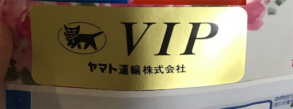 f:id:yaeba8:20201026100940j:image f:id:yaeba8:20201026100940j:image