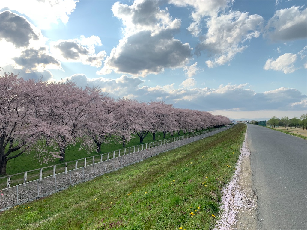 f:id:yaechan2019:20200428064215j:image f:id:yaechan2019:20200428064215j:image