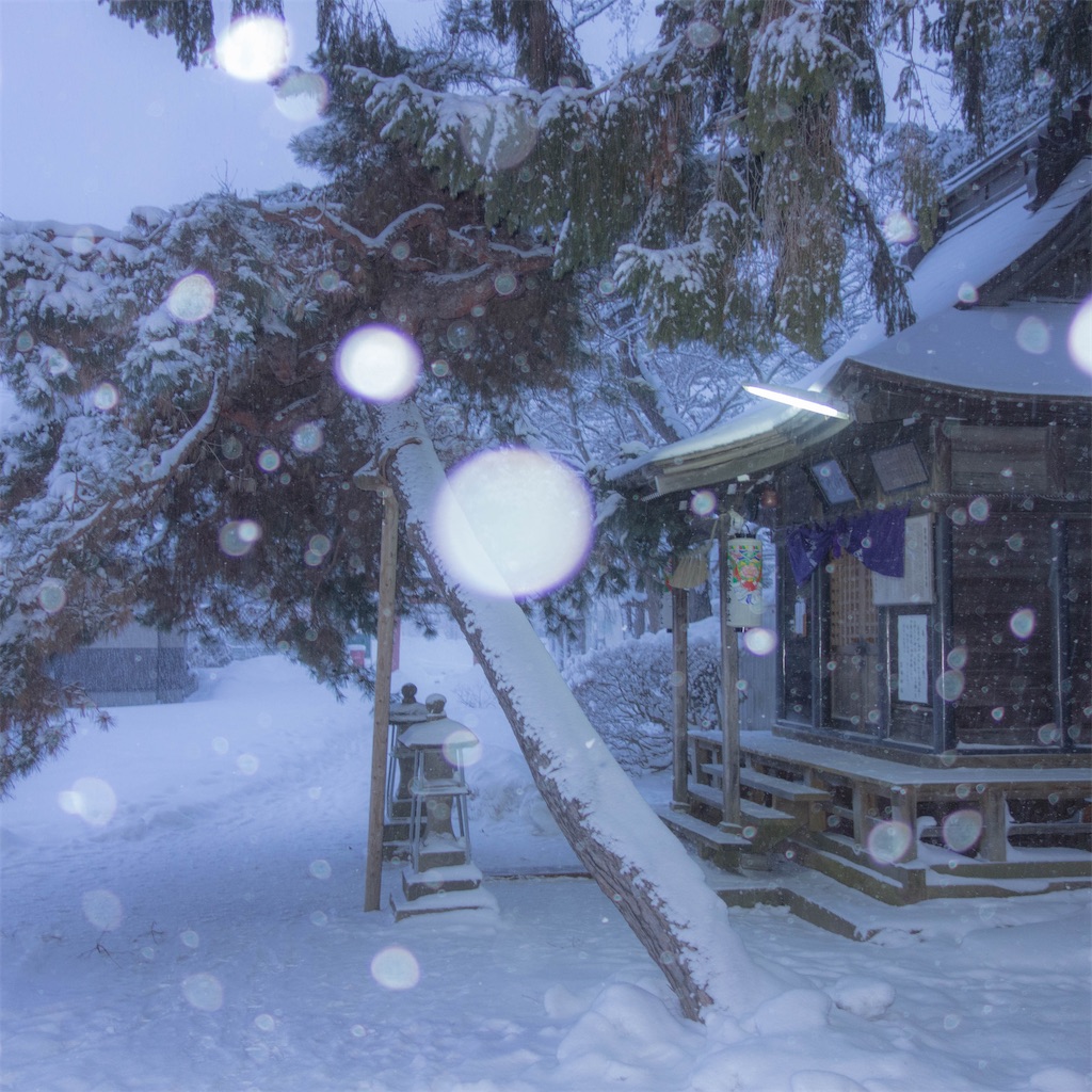 f:id:yaechan2019:20210103192417j:image f:id:yaechan2019:20210103192417j:image