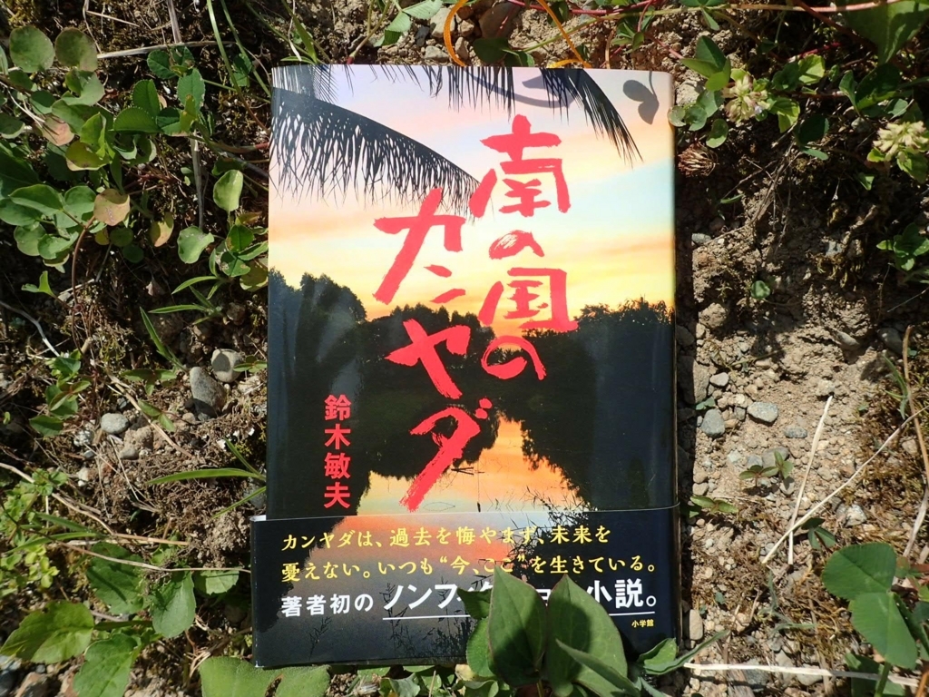 南の国のカンヤダ JapaneseClass.jp 南の国のカンヤダ JapaneseClass.jp