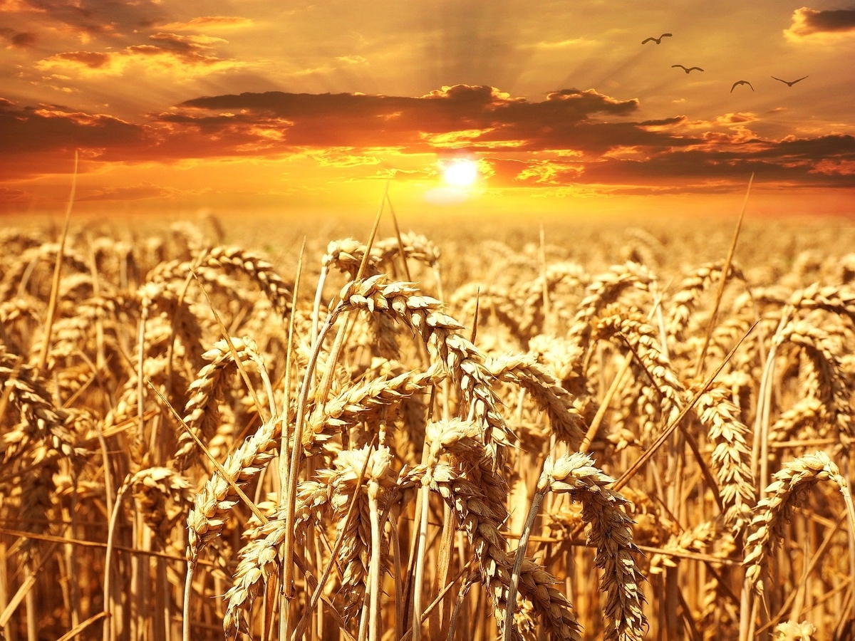 f:id:yaffee28ppm:20200226132253j:plain f:id:yaffee28ppm:20200226132253j:plain