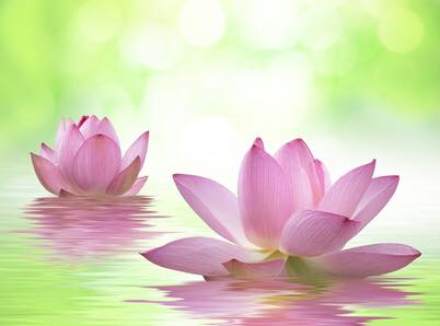 f:id:yafoo3545:20160911180441j:plain f:id:yafoo3545:20160911180441j:plain