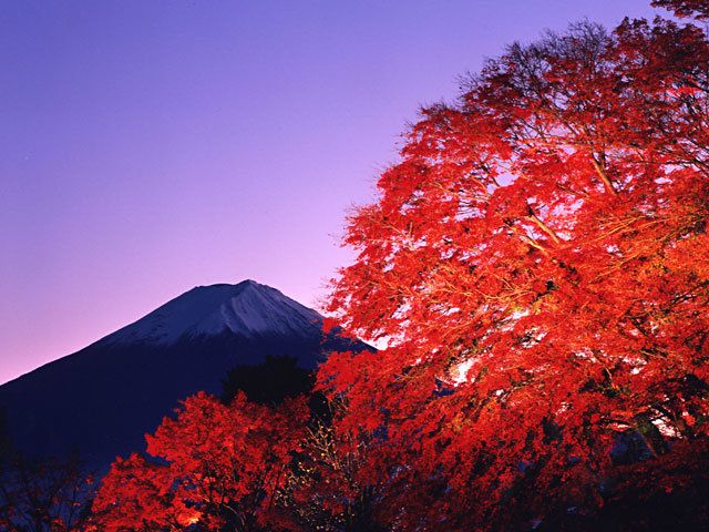 f:id:yafoo3545:20161122073650j:plain f:id:yafoo3545:20161122073650j:plain