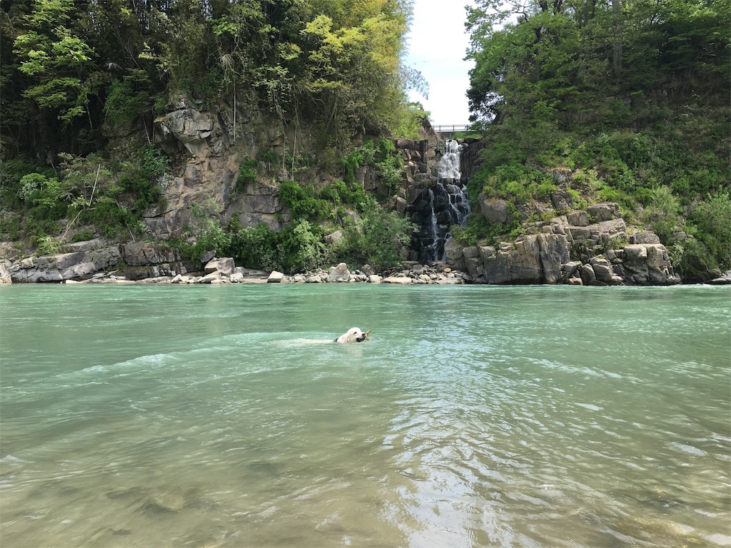 f:id:yagame:20170514214706j:image f:id:yagame:20170514214706j:image