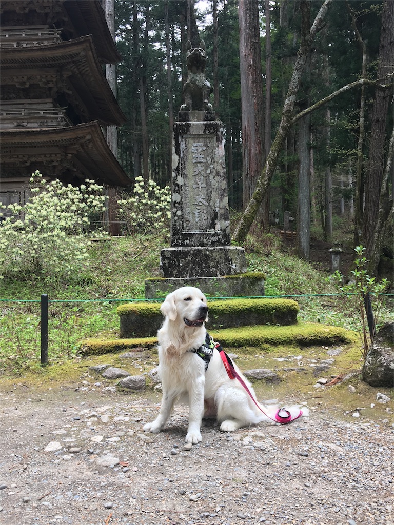 f:id:yagame:20170514215048j:image f:id:yagame:20170514215048j:image