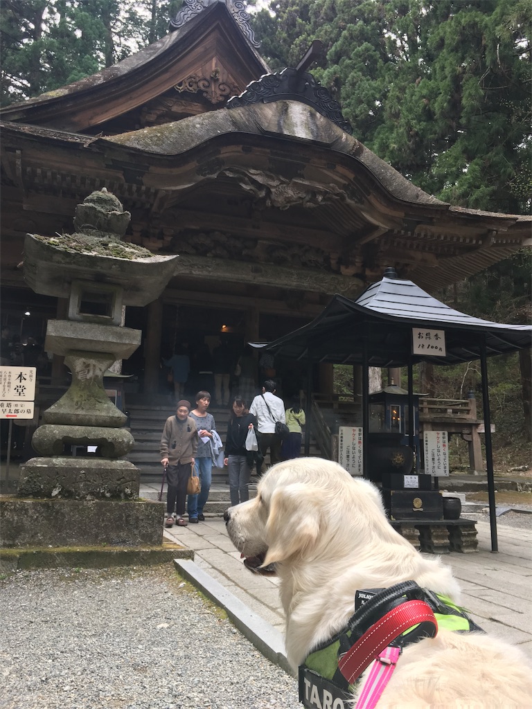 f:id:yagame:20170514215153j:image f:id:yagame:20170514215153j:image