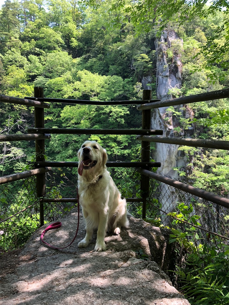 f:id:yagame:20180529212448j:image