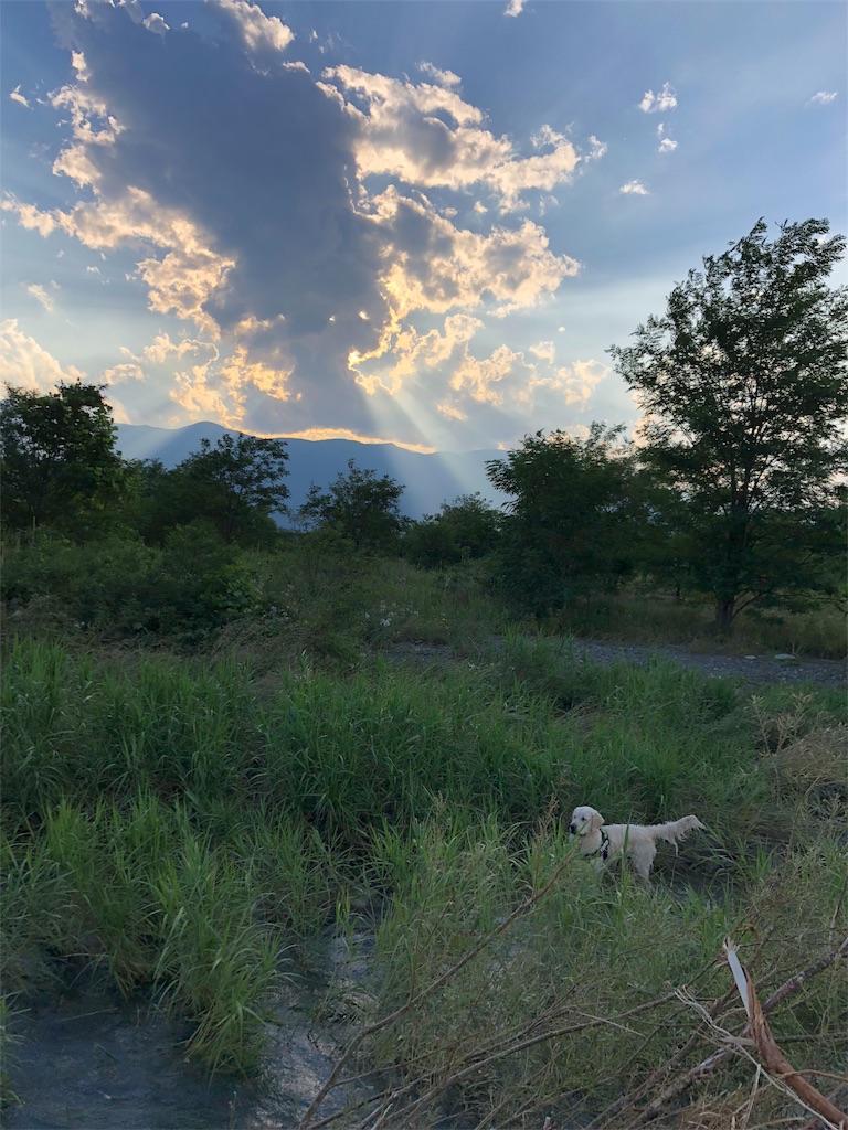 f:id:yagame:20180722234941j:image