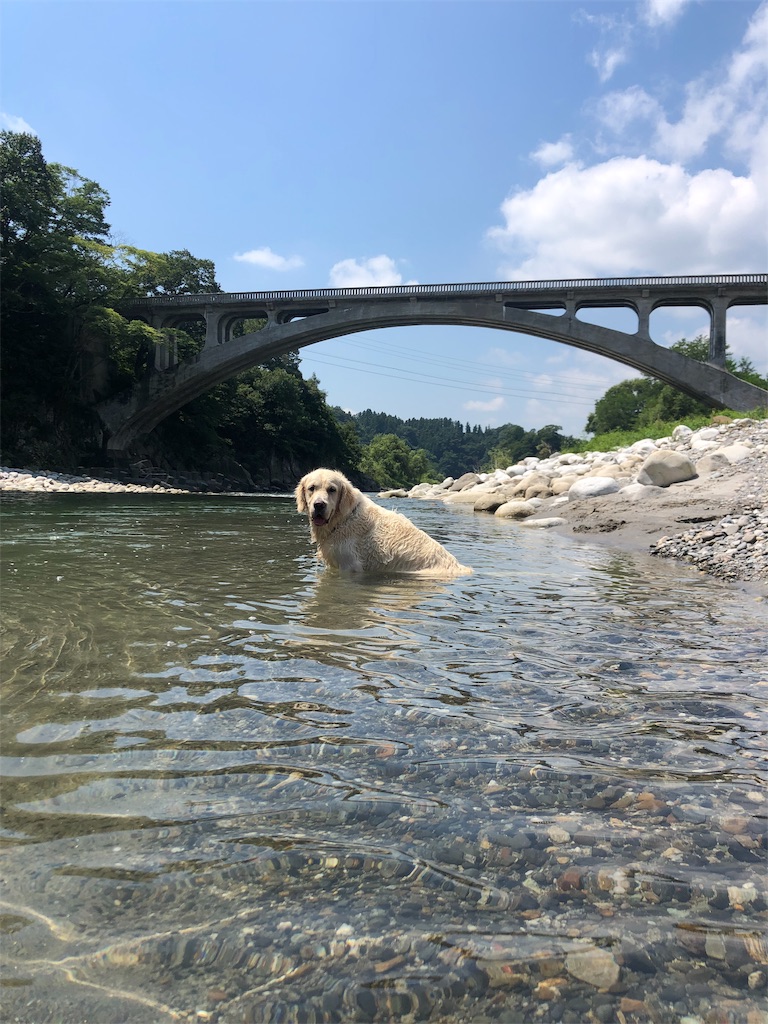 f:id:yagame:20190815212120j:image