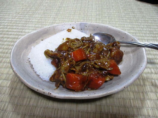 f:id:yagan:20190214212518j:plain