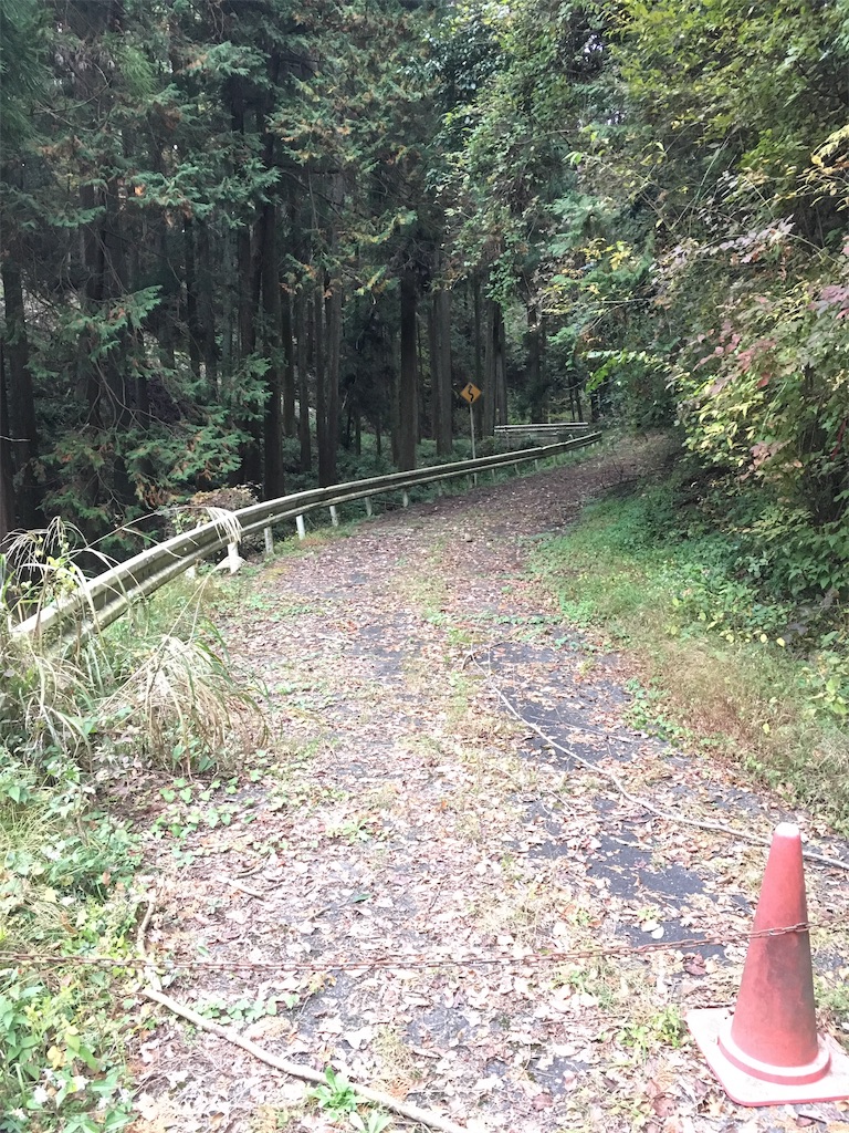 f:id:yagi-search:20190518101757j:image f:id:yagi-search:20190518101757j:image