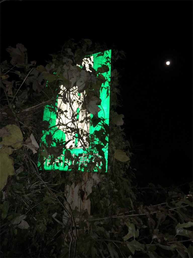 f:id:yagi-search:20190518101805j:image f:id:yagi-search:20190518101805j:image