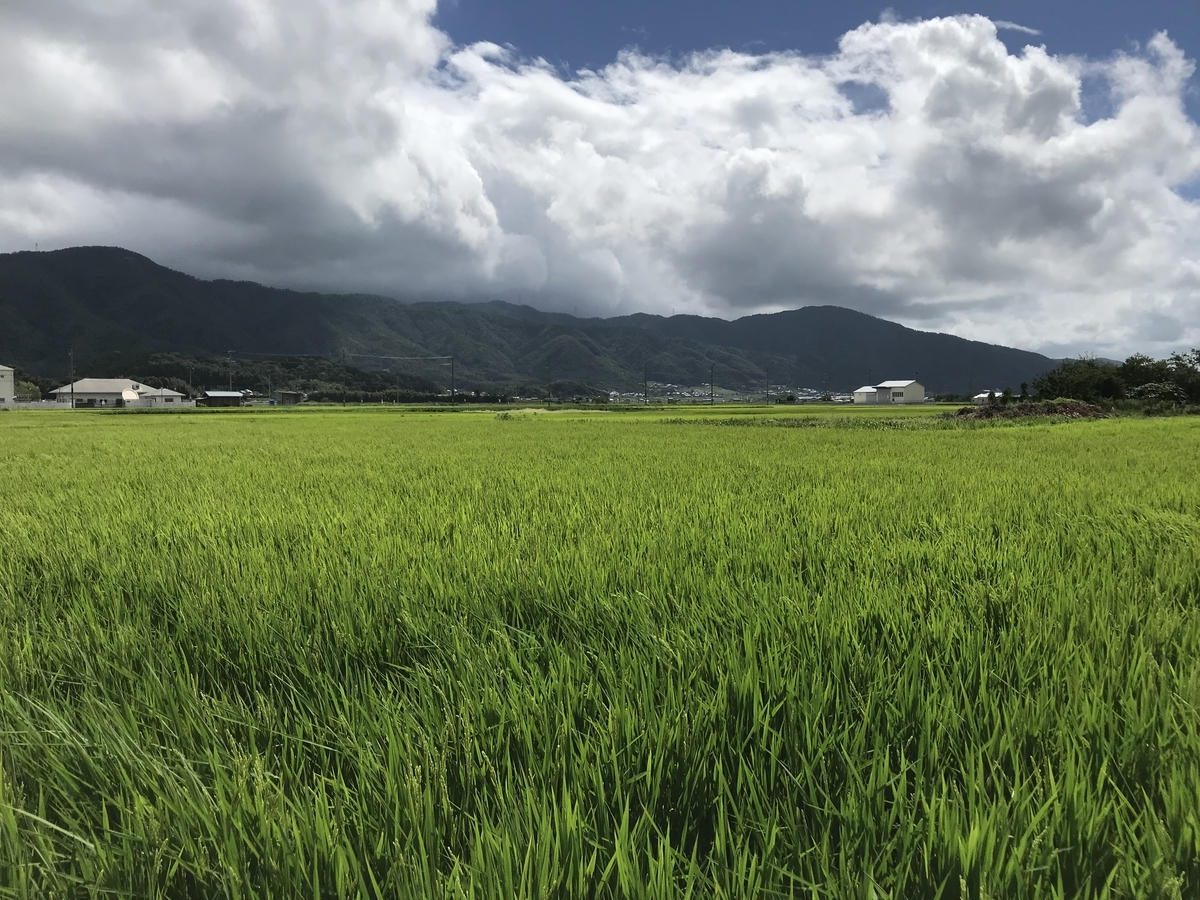 f:id:yagi317:20190814122430j:plain