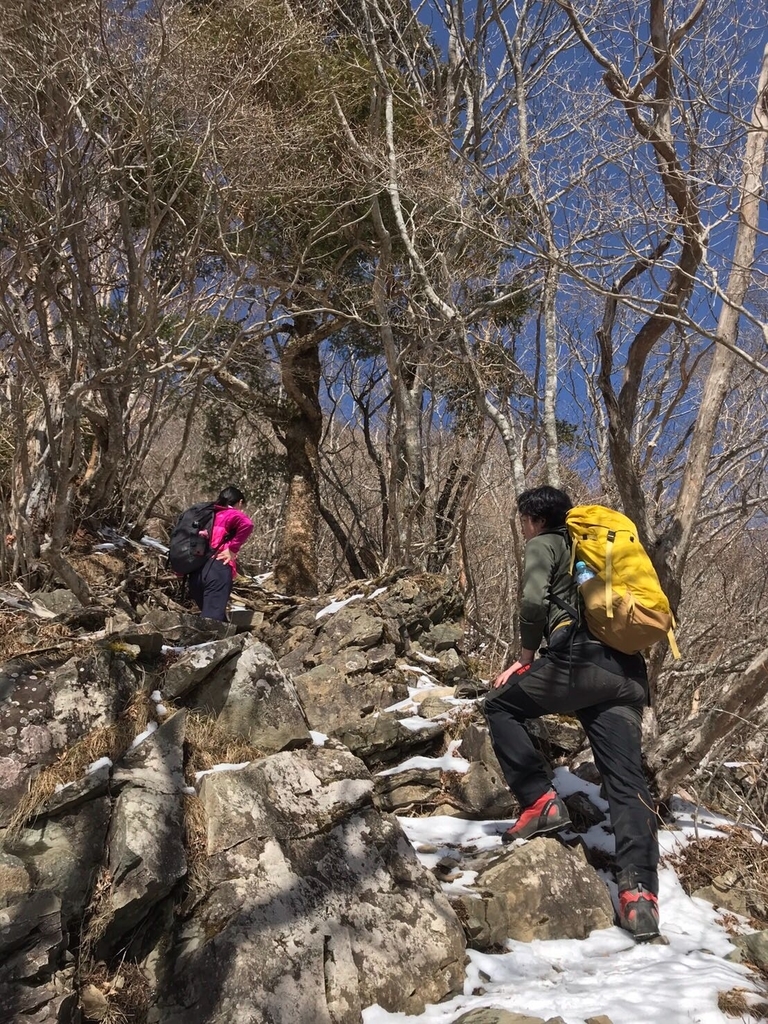 f:id:yagi_suke:20190219211837j:plain f:id:yagi_suke:20190219211837j:plain
