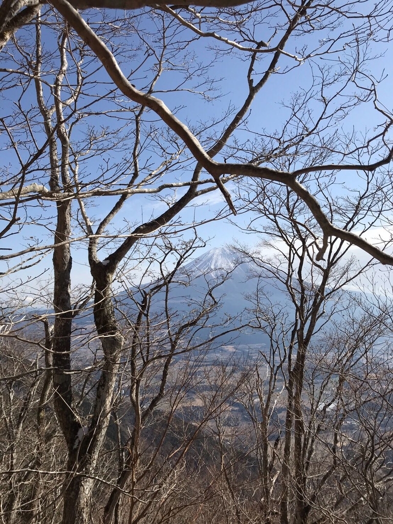 f:id:yagi_suke:20190219211950j:plain f:id:yagi_suke:20190219211950j:plain