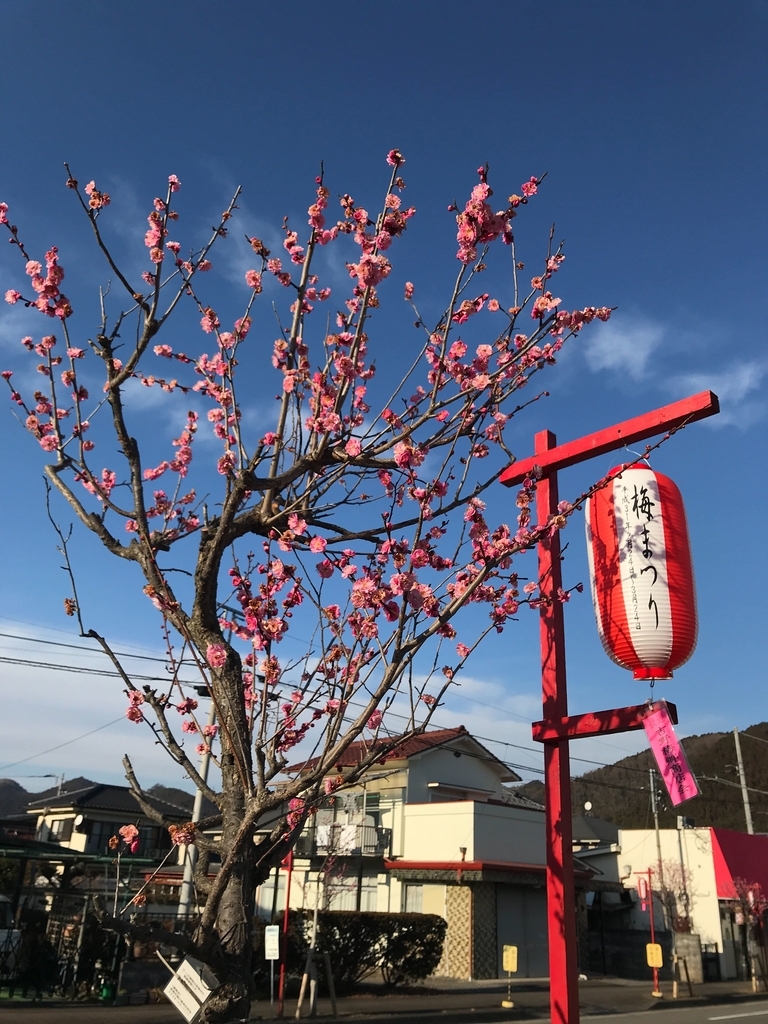 f:id:yagi_suke:20190226014909j:plain f:id:yagi_suke:20190226014909j:plain
