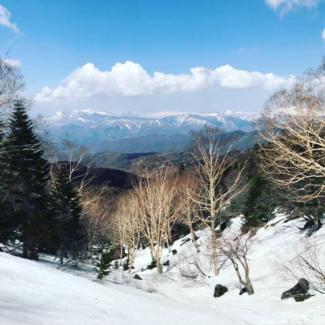 f:id:yagi_suke:20190506004119j:plain f:id:yagi_suke:20190506004119j:plain