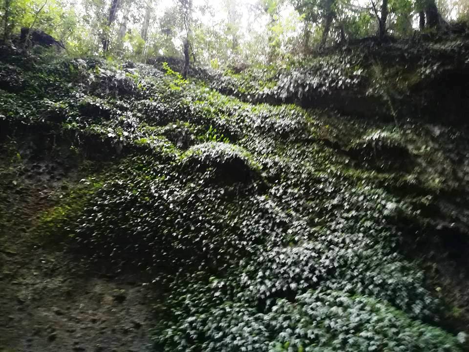 f:id:yagikatsuji:20171025110937j:plain