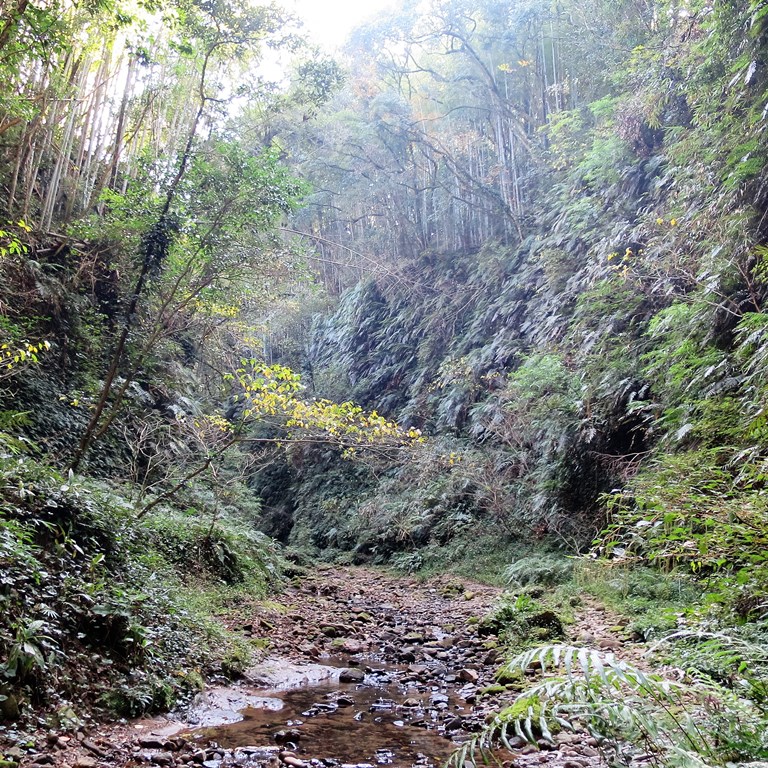 f:id:yagikatsuji:20171025111357j:plain