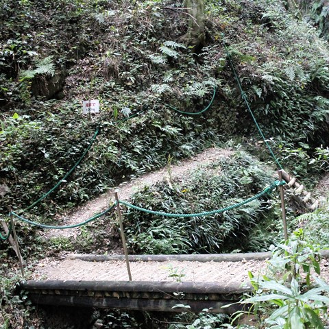 f:id:yagikatsuji:20171025111417j:plain