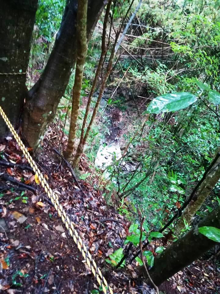 f:id:yagikatsuji:20171025113900j:plain