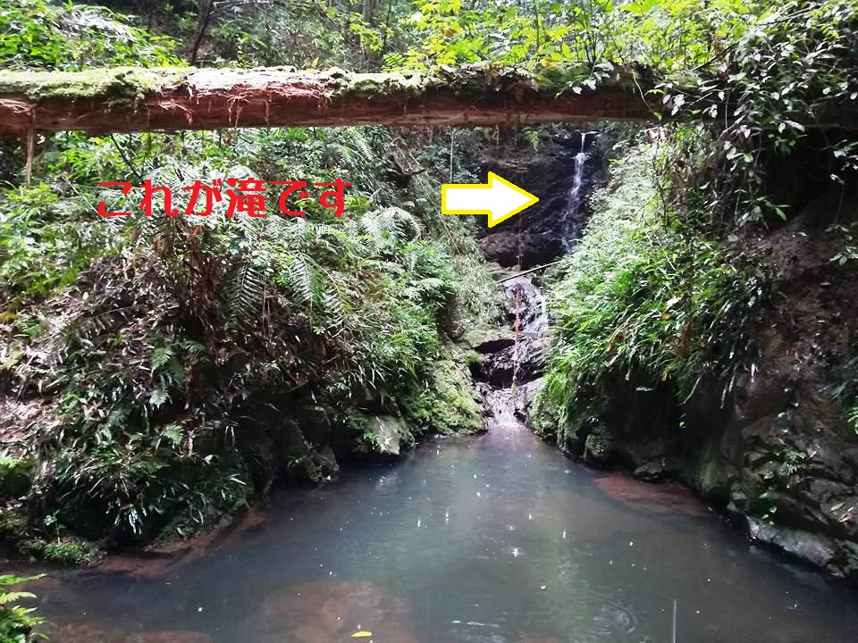 f:id:yagikatsuji:20171025115111j:plain