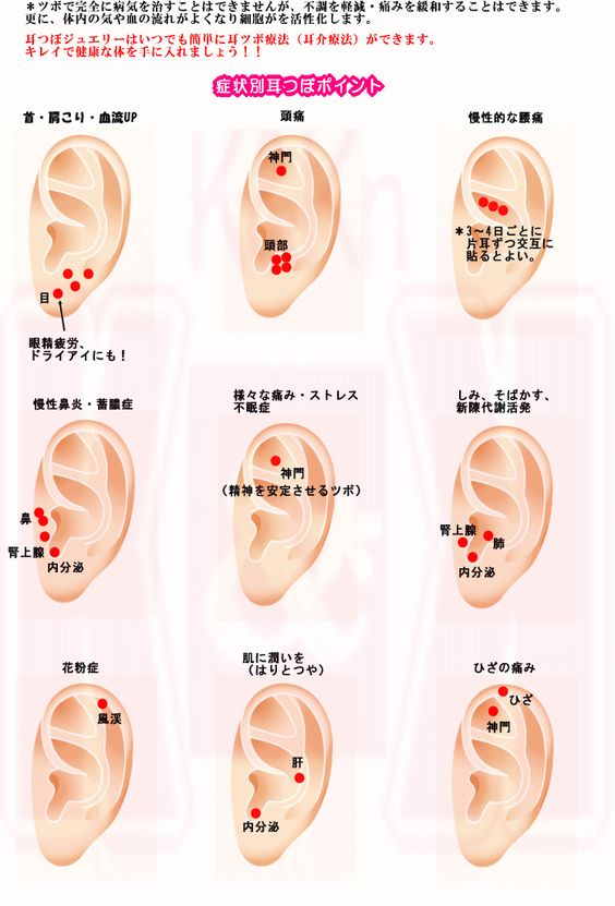 ツボ 耳 の 後ろ