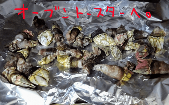 f:id:yagine:20181219225443p:plain