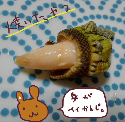 f:id:yagine:20181219225618p:plain