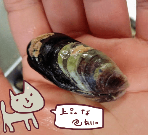 f:id:yagine:20181230105807p:plain