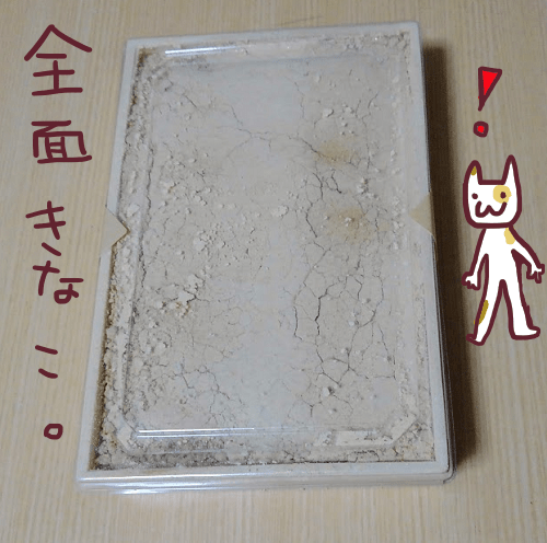 f:id:yagine:20190111171300p:plain