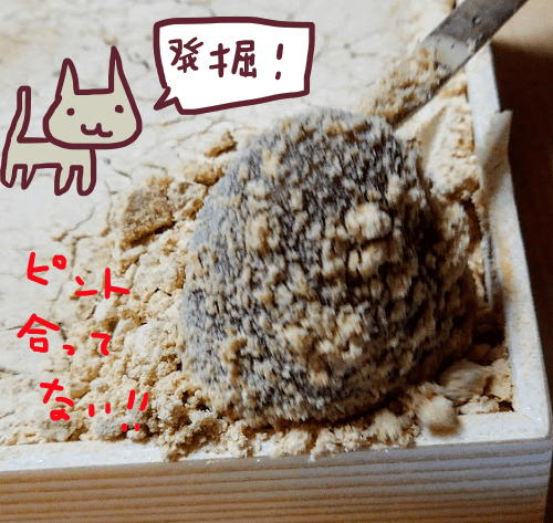 f:id:yagine:20190111171500p:plain