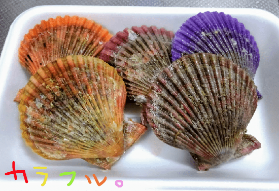 ヒオウギ貝をフライパンでバター焼きにした感想 カラフルなホタテ 大人女子ヤギネの食レポブログ