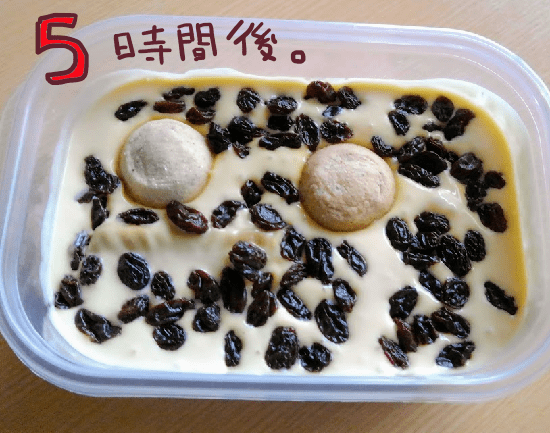 f:id:yagine:20190321112611p:plain