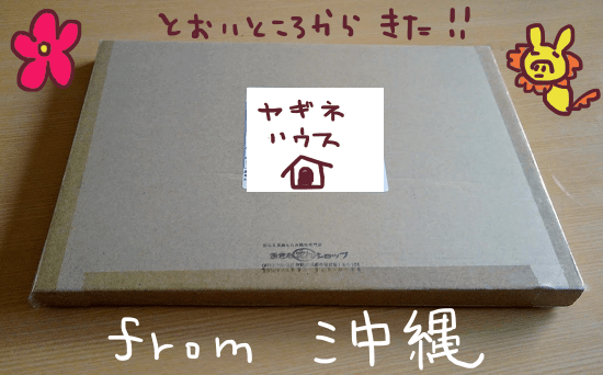 f:id:yagine:20190330213035p:plain