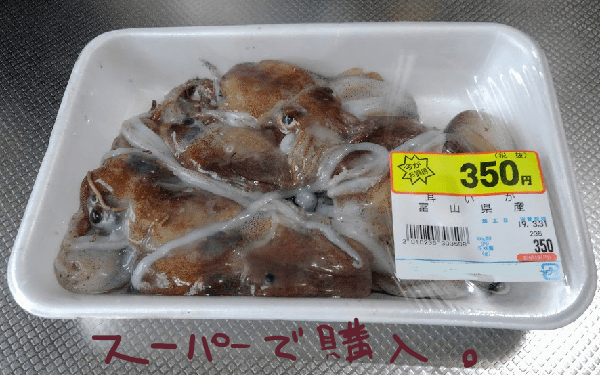 f:id:yagine:20190401144239p:plain