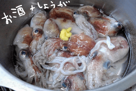 f:id:yagine:20190401145058p:plain