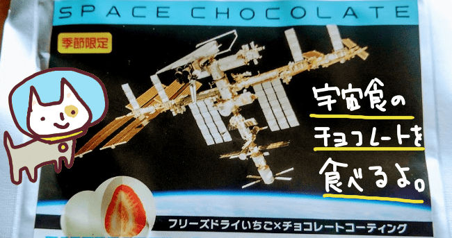 宇宙食