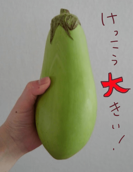 青ナスのサイズ