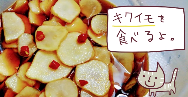 f:id:yagine:20191124091528j:plain f:id:yagine:20191124091528j:plain