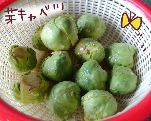 芽キャベツ
