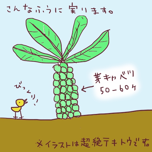 f:id:yagine:20200303213034j:plain