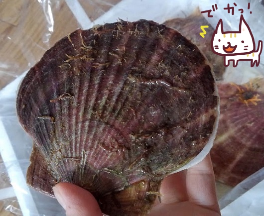 f:id:yagine:20200419081150j:plain
