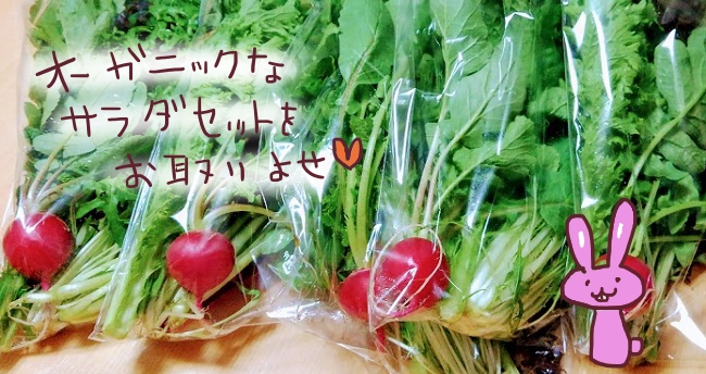 f:id:yagine:20200421082343j:plain